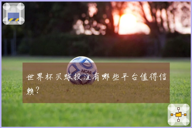 世界杯买球投注有哪些平台值得信赖?