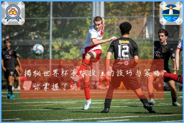 揭秘世界杯滚球投注的技巧与策略，你掌握了吗