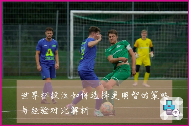 世界杯投注如何选择更明智的策略与经验对比解析