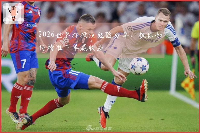 2026世界杯投注经验分享，教你如何精准下单赢收益