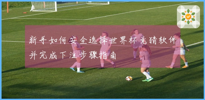 新手如何安全选择世界杯竞猜软件并完成下注步骤指南