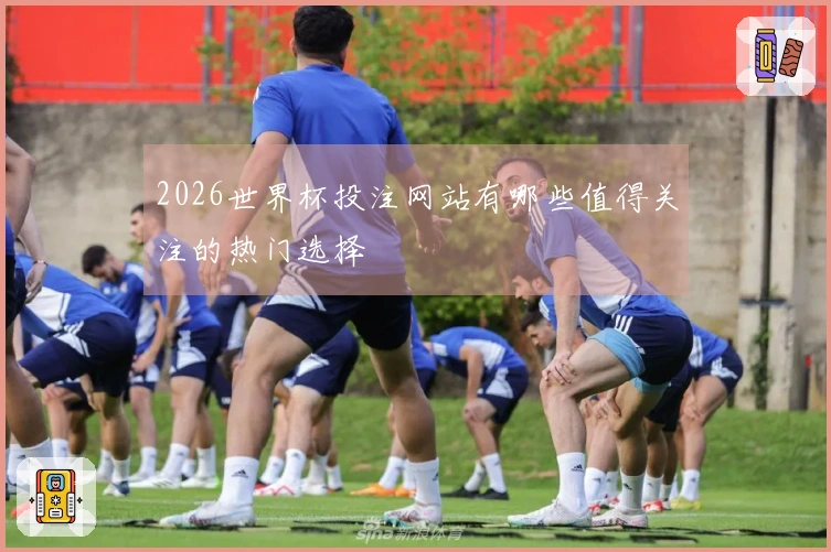 2026世界杯投注网站有哪些值得关注的热门选择