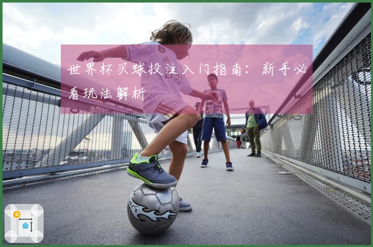 世界杯买球投注入门指南：新手必看玩法解析