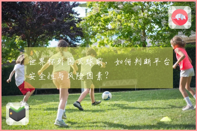世界杯外围买球前，如何判断平台安全性与风险因素？