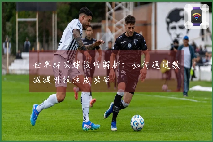 世界杯买球技巧解析：如何通过数据提升投注成功率