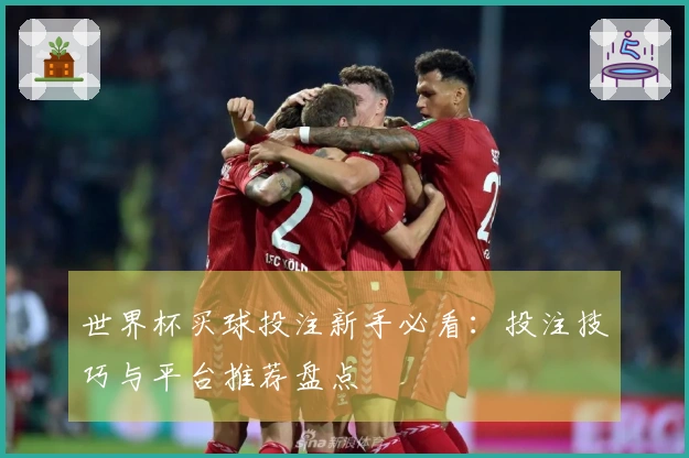 世界杯买球投注新手必看：投注技巧与平台推荐盘点