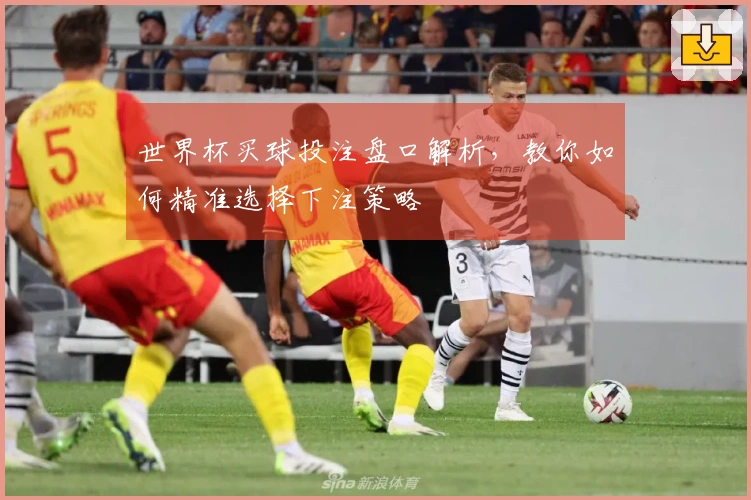 世界杯买球投注盘口解析，教你如何精准选择下注策略