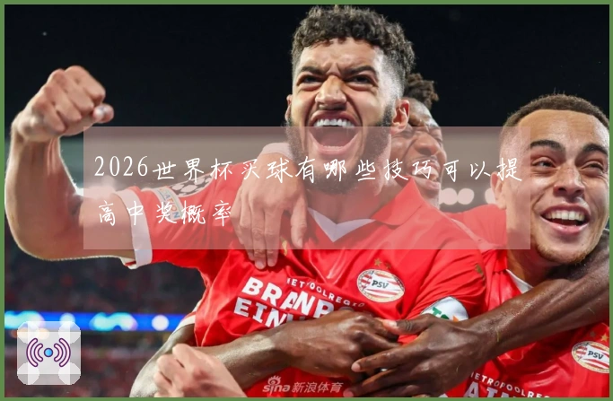 2026世界杯买球有哪些技巧可以提高中奖概率