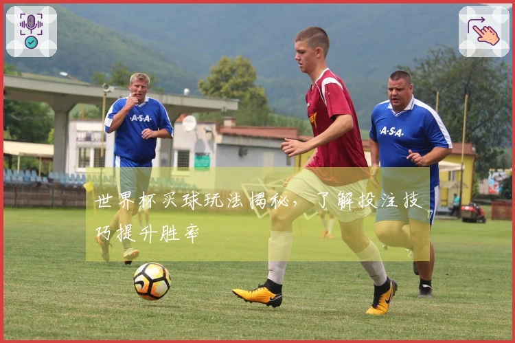 世界杯买球玩法揭秘，了解投注技巧提升胜率