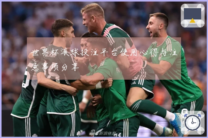 世界杯滚球投注平台使用心得与注意事项分享
