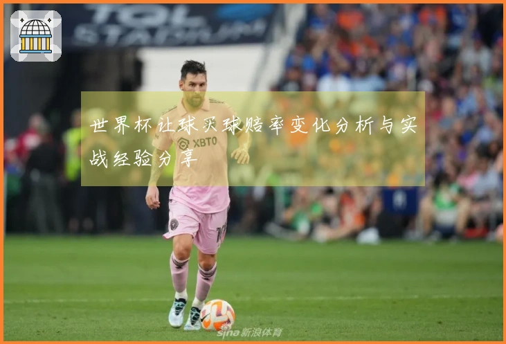 世界杯让球买球赔率变化分析与实战经验分享