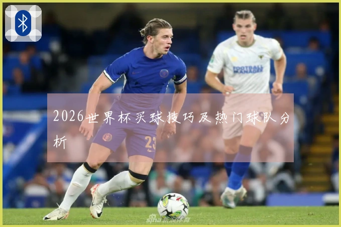 2026世界杯买球技巧及热门球队分析