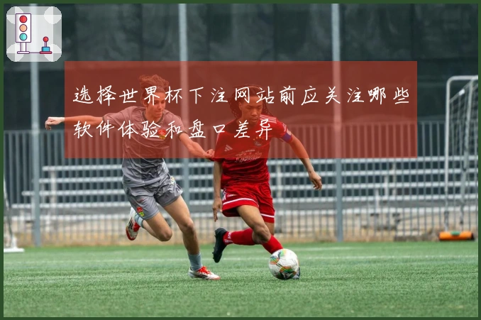 选择世界杯下注网站前应关注哪些软件体验和盘口差异