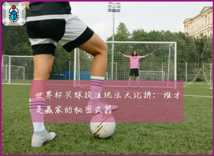 世界杯买球投注玩法大比拼：谁才是赢家的秘密武器