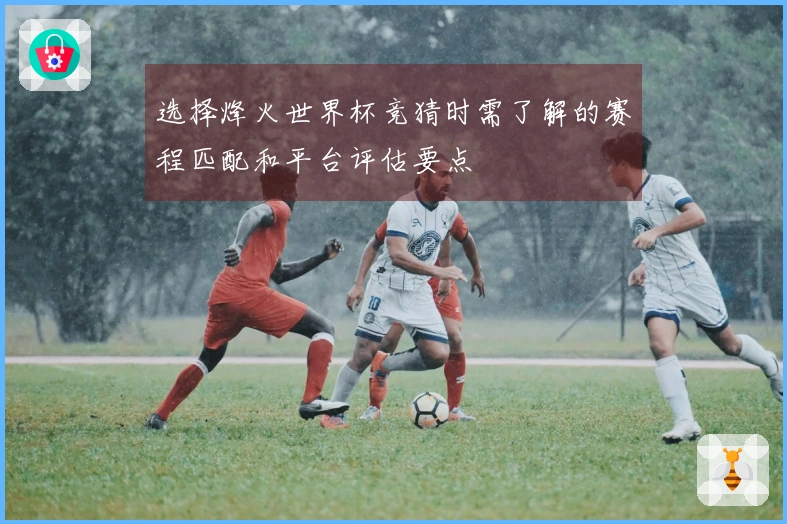 选择烽火世界杯竞猜时需了解的赛程匹配和平台评估要点