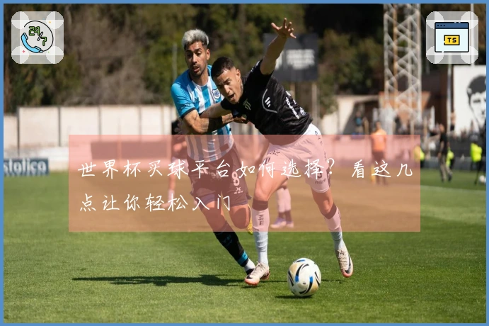 世界杯买球平台如何选择？看这几点让你轻松入门