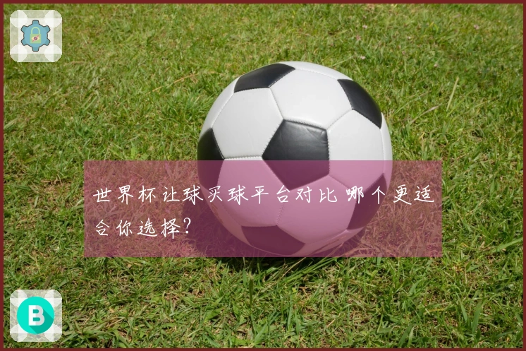 世界杯让球买球平台对比 哪个更适合你选择？
