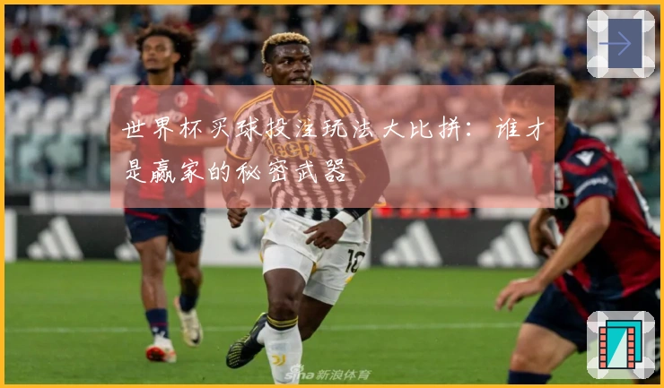 世界杯买球投注玩法大比拼：谁才是赢家的秘密武器