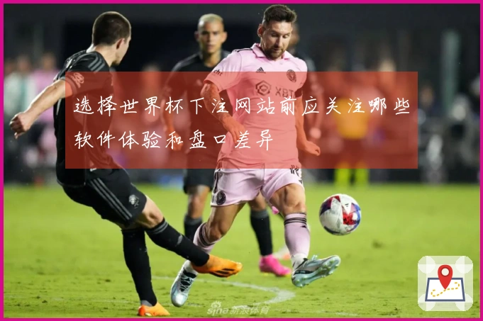 选择世界杯下注网站前应关注哪些软件体验和盘口差异