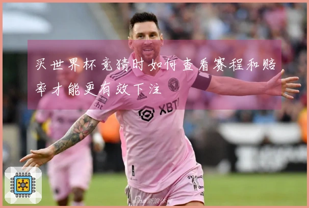 买世界杯竞猜时如何查看赛程和赔率才能更有效下注