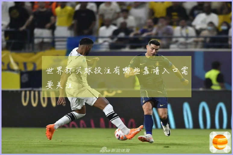 世界杯买球投注有哪些靠谱入口需要关注