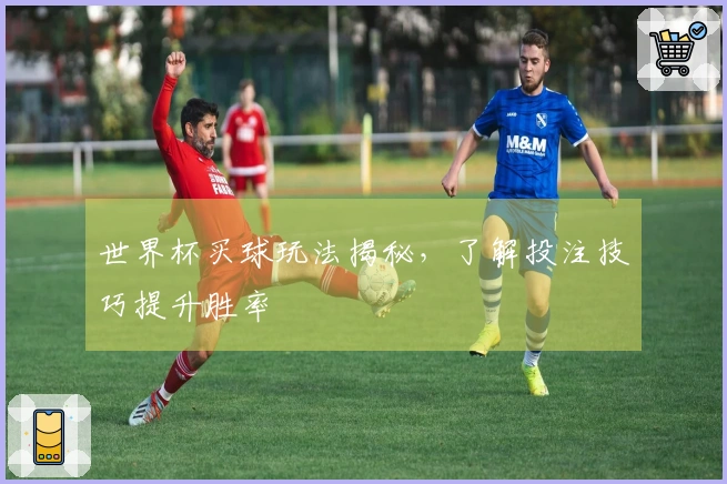 世界杯买球玩法揭秘，了解投注技巧提升胜率