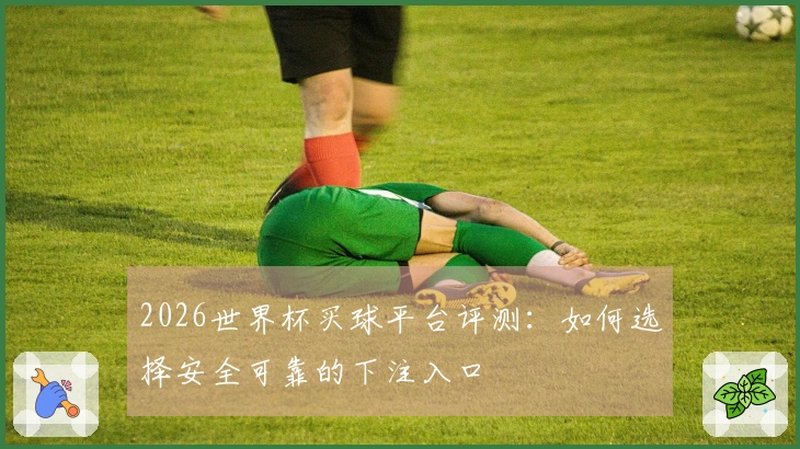2026世界杯买球平台评测：如何选择安全可靠的下注入口