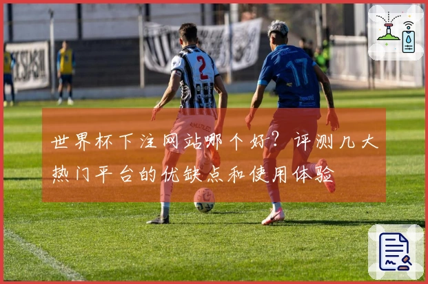 世界杯下注网站哪个好？评测几大热门平台的优缺点和使用体验