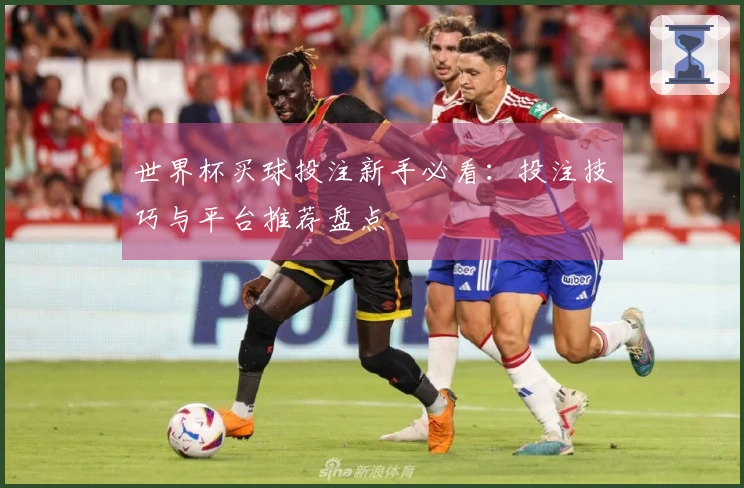 世界杯买球投注新手必看：投注技巧与平台推荐盘点
